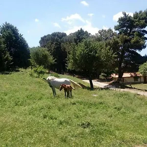  Farm stay Bosco Pianetti